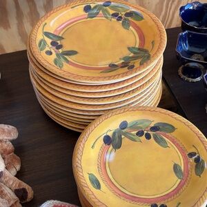 Tuscanmelamine  dishwasher safe  12 Dinner Plates/ salad/dessert plates like new